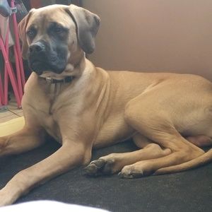 Meet your Posher, Meghan